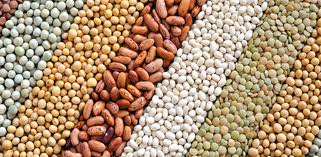 Марафон "Знакомьтесь - вегетарианство". День пятый