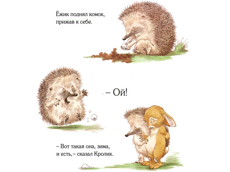 Заяц обнимает ежика картинки