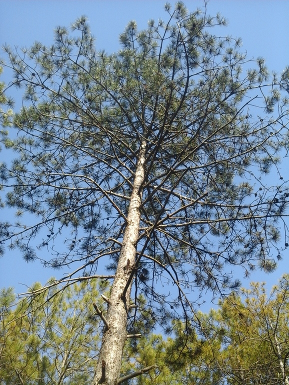 А что я вам сейчас покажу!!!!