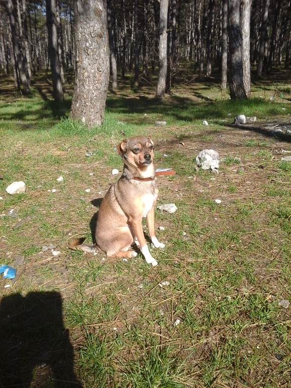 А что я вам сейчас покажу!!!!