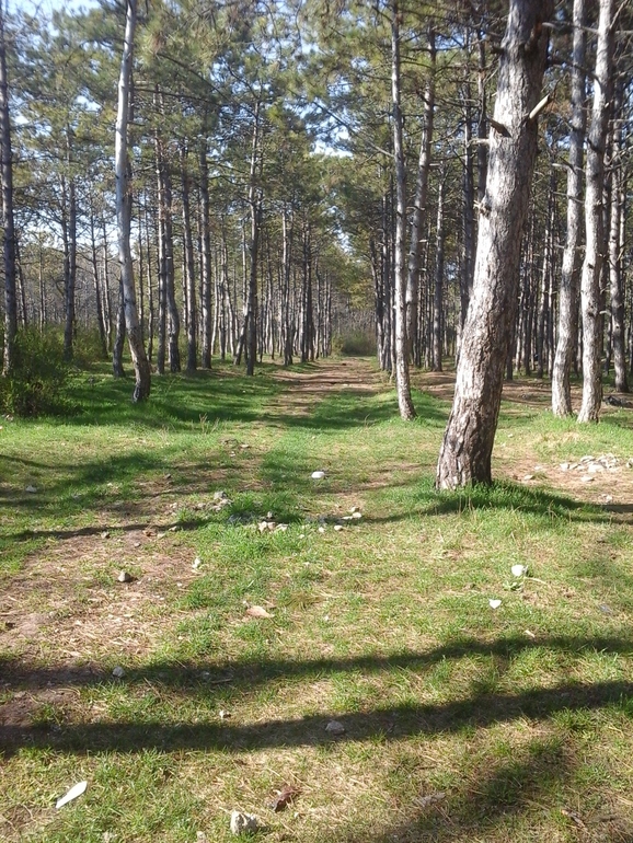 А что я вам сейчас покажу!!!!