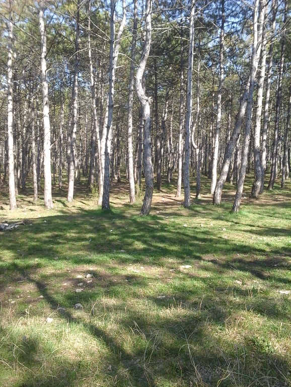 А что я вам сейчас покажу!!!!