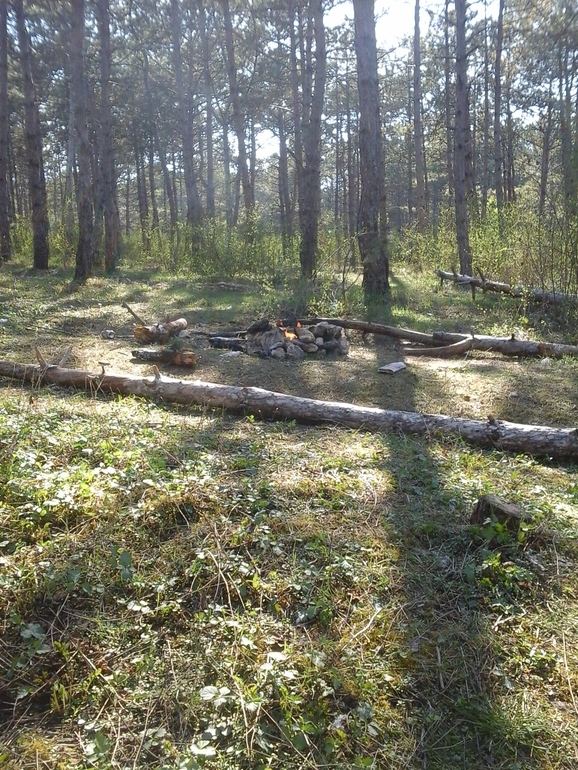 А что я вам сейчас покажу!!!!