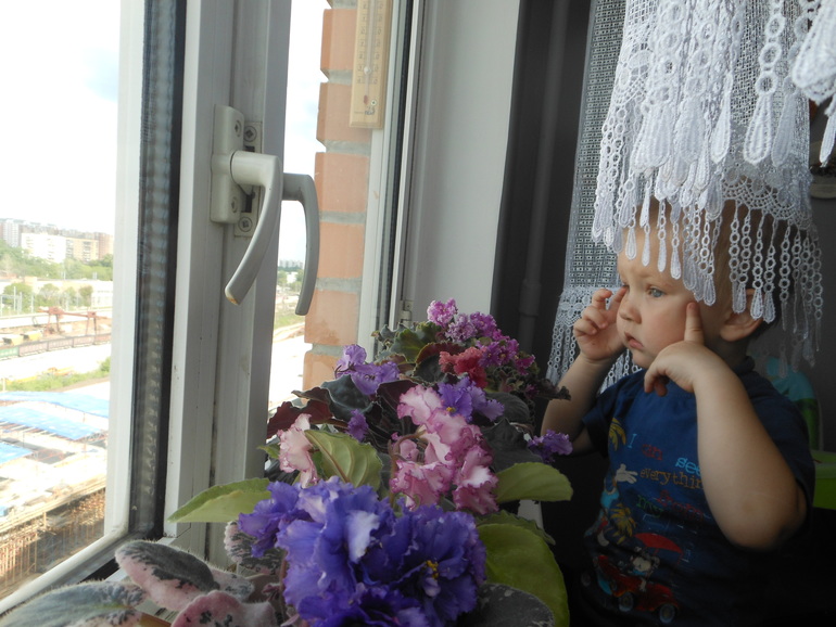 Мои любимые