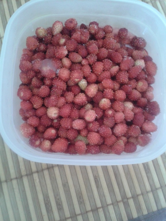 Флешмоб: фруктового-ягодное питание кормящей мамы