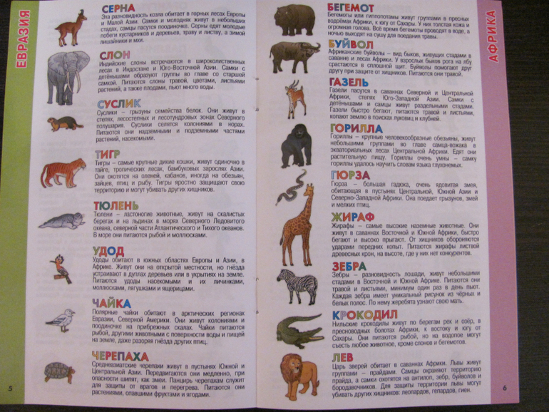 Глобус для первого знакомства с миром