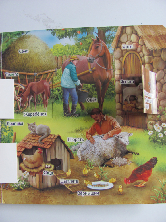 Животные -любимая книжка с окошками, НЕ АРКЕБУС))