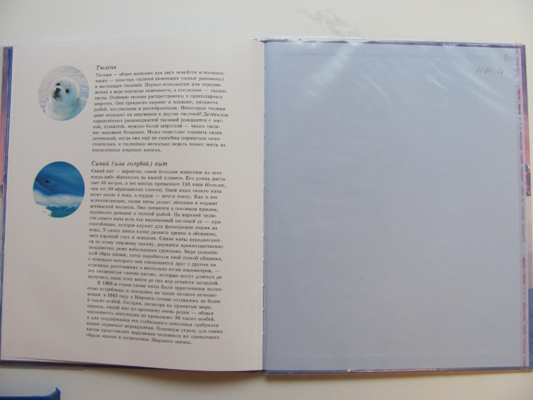 Как медвежонок солнце искал - первая книга о солнце