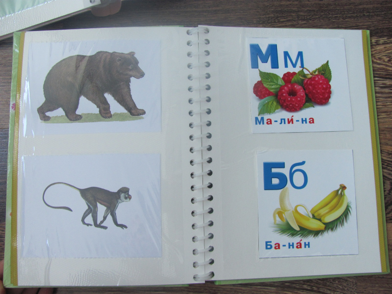 Использование фотоальбомов для развития