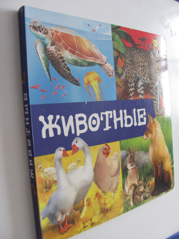 Животные -любимая книжка с окошками, НЕ АРКЕБУС))
