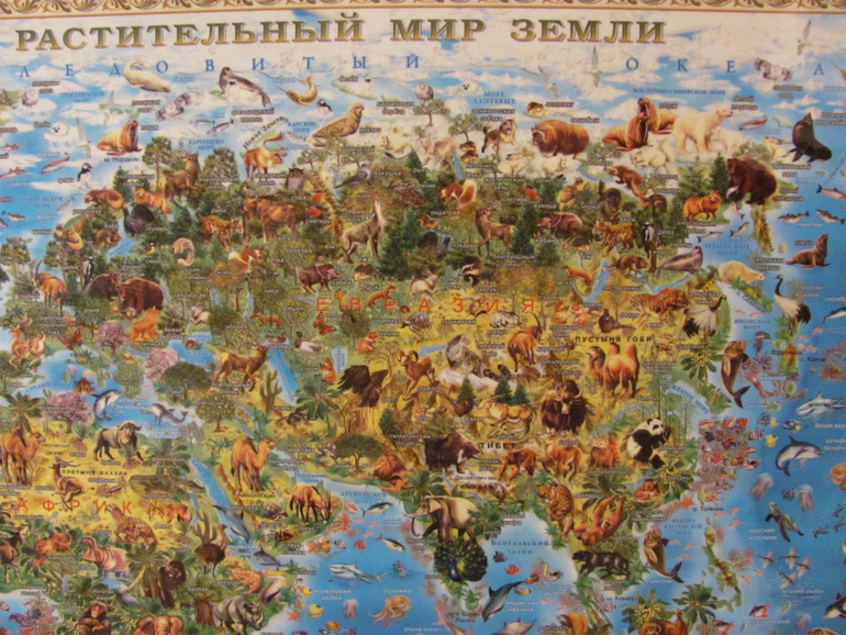 География для двухлетки