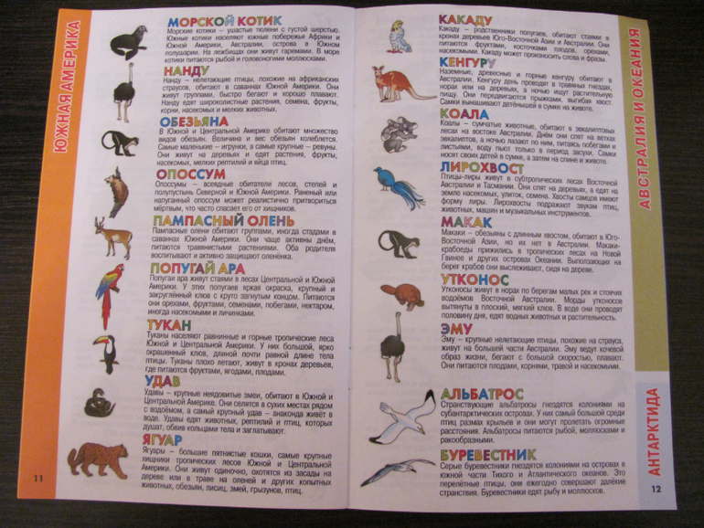 Глобус для первого знакомства с миром