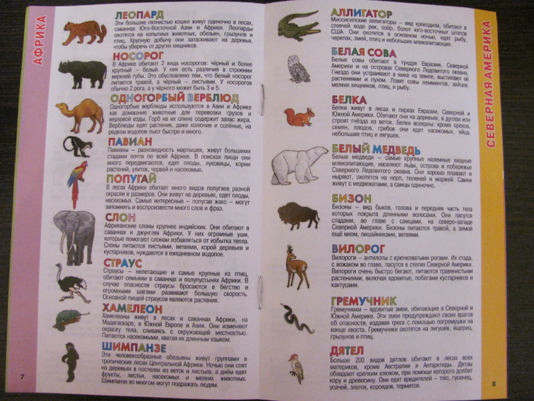 Глобус для первого знакомства с миром