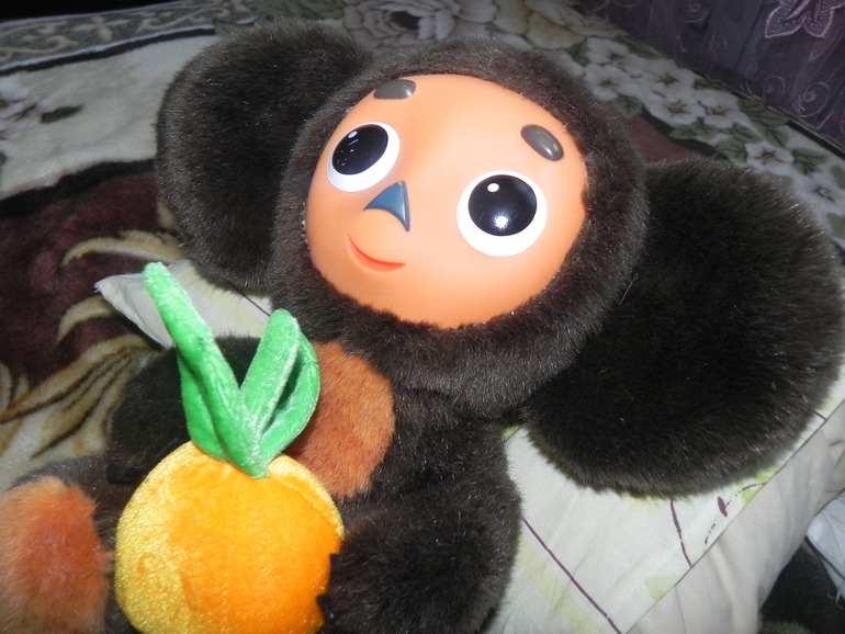 Наш новый друг)))