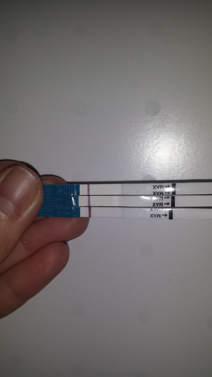 Я совсем запуталась в ДПО...