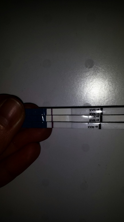 Я совсем запуталась в ДПО...