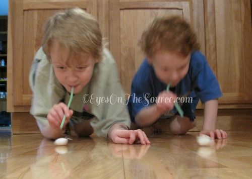 ТН Зимние забавы. ТЗ Снегирь.ТЗ Пингвин