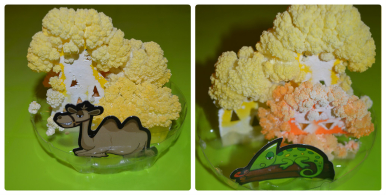 ТН Пустыня и немного Африки..