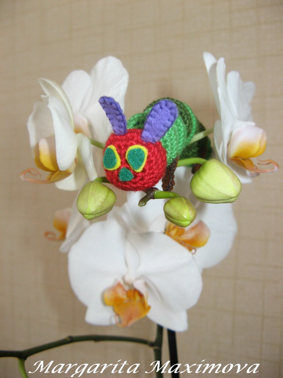 Голодная гусеница