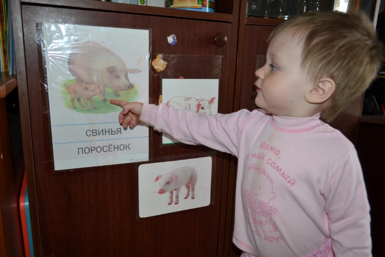 ТЗ Поросенок