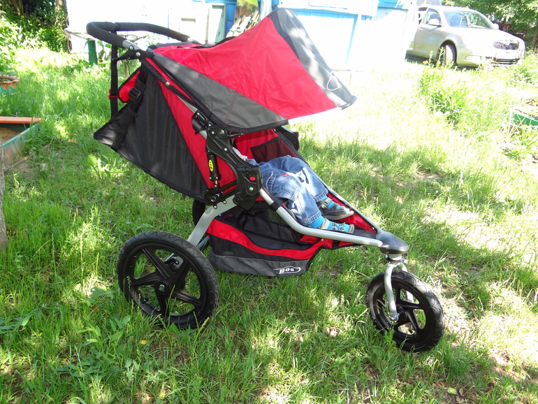 Мой долгожданный Бобик