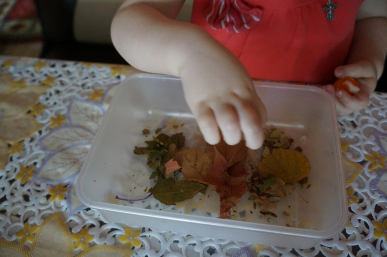 ТН Деревья первый день