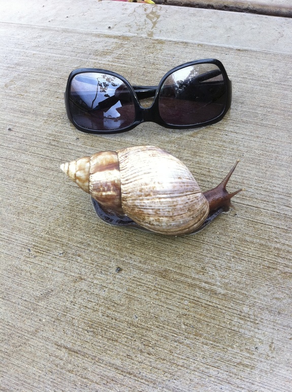 Взлет 72 Шаг 21