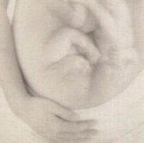 ИМЕНИННИЦЫ ღ ღ ღ 19 апреля ღ ღ ღ !!!