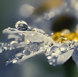 ИМЕНИННИЦЫ ღ ღ ღ 15 июня ღ ღ ღ !!!