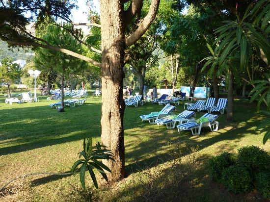 ЧЕРНОГОРИЯ. Hotel Rivijera 4*