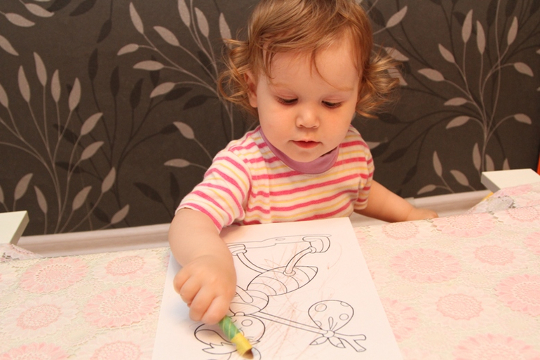 Отчет по ТН "Насекомые" . День 3 - Муравей