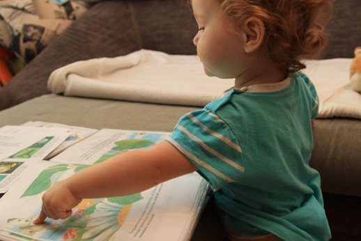 ТЗ "Бабочки-красавицы" в проекте "Гуляем-изучаем".