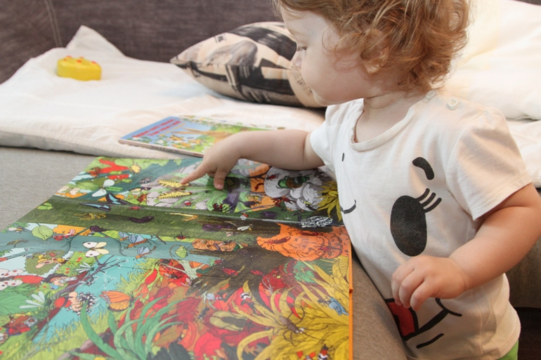 Отчет по ТН "Насекомые" . День 1 - Бабочка