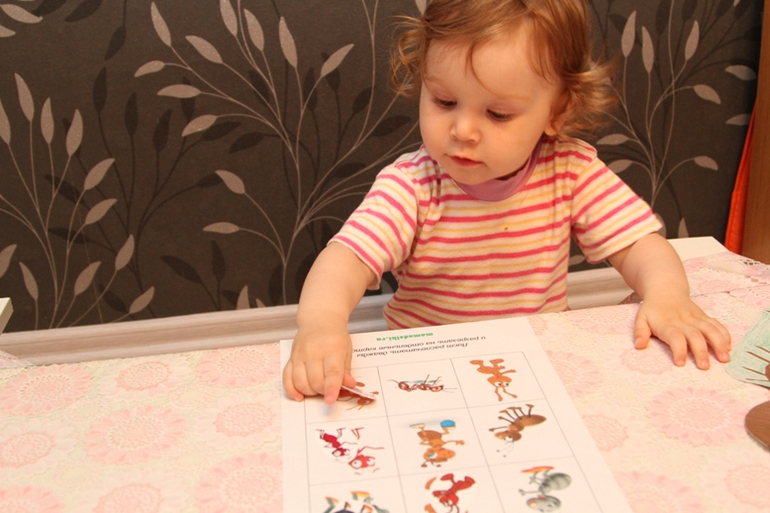 Отчет по ТН "Насекомые" . День 3 - Муравей