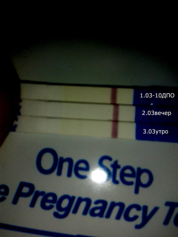 ничего не понимаю..