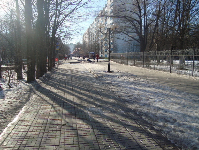 Наша прогулка
