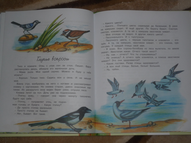 Сегодня к нам приехали...