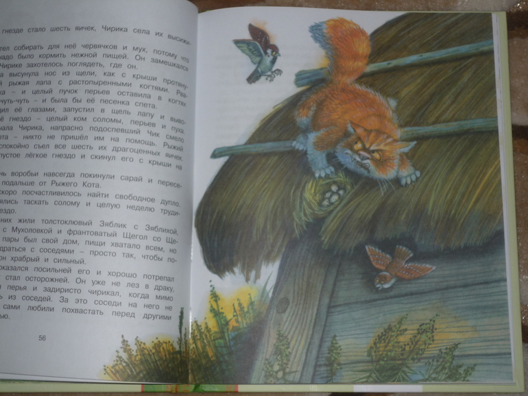 Сегодня к нам приехали...