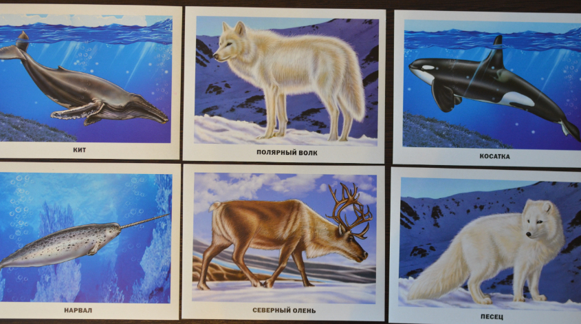 Обзор карточек