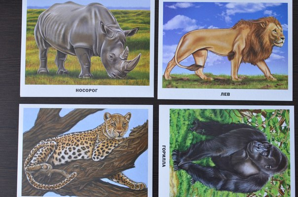 Обзор карточек