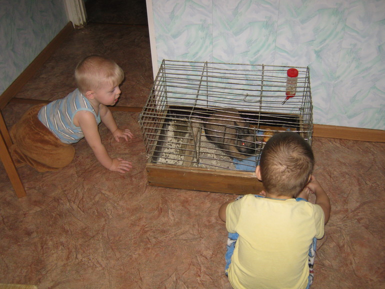 А у нас пополнение!