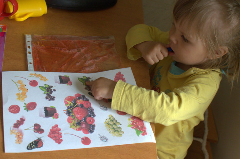 ТН "Ягоды". Смородина