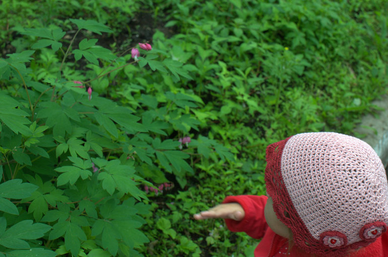 Цветное безобразие (Шичида от Аси)