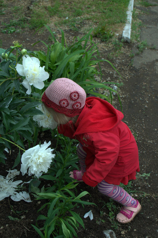 Цветное безобразие (Шичида от Аси)