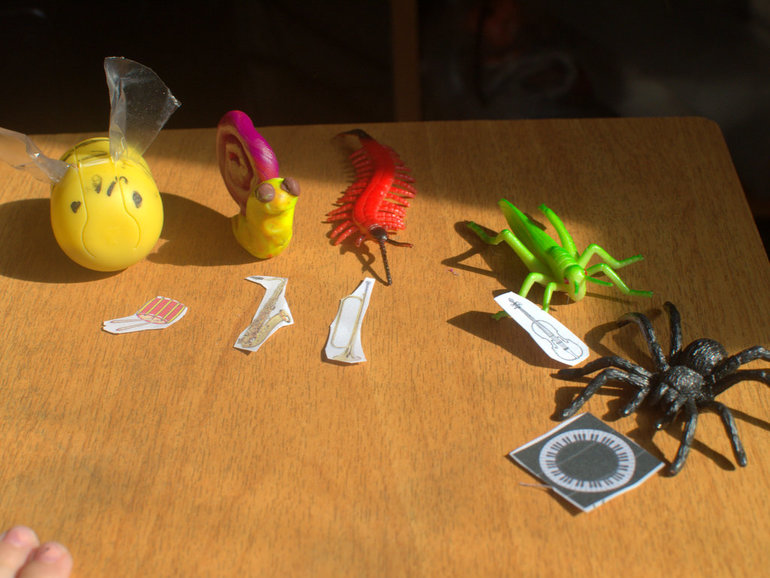 ТЗ "На балу у сверчка"