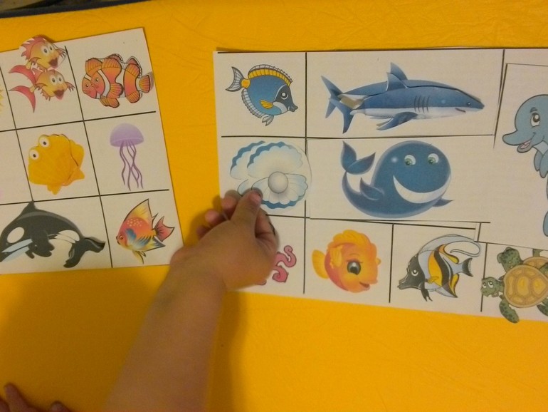 ТН Транспорт. Корабль