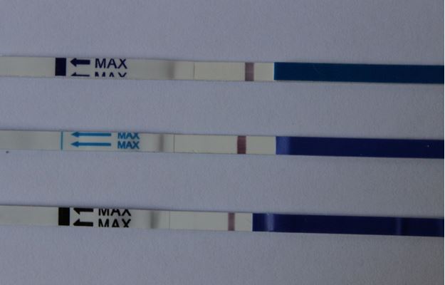 И вот реагенты превращаются, превращаются в...