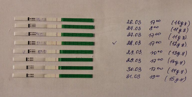 Была ли овуляция?