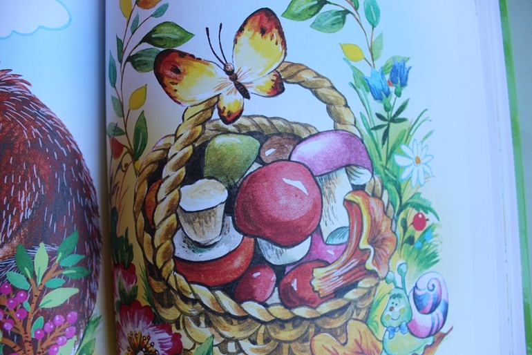 Мечты сбываются: книга про Зайку