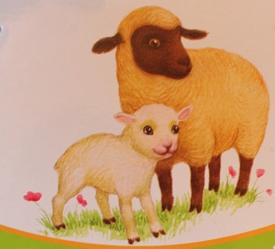 Как мы начали учить слова)